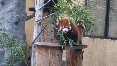 kei09011's profile picture. 使ってないんで、フォロー外してください