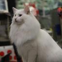 John Tipper - @Tiptopper - Twitter