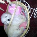 Doris ruiz - @dorisruiz851 - Twitter