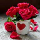 Isela Narvaez - @isela_narvaez - Twitter