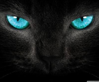 Just tipical girl on twitter + crazy emo = best twitter acount EVER