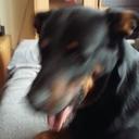 Marion Koch - @marionkoch788 - Twitter