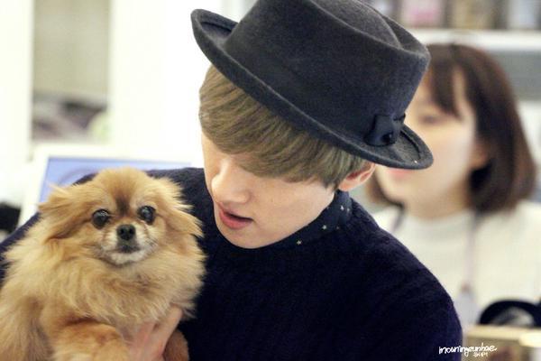 Role Player of  Super Junior  Eunhyuk | Sticy♥