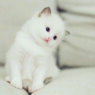‏‏‏‏لا تعليق