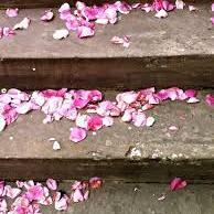 White Wedding Taxis (@whitelondontaxi) 's Twitter Profile