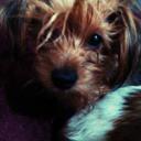 Estrella Ferrer - @FerrerEstrella - Twitter