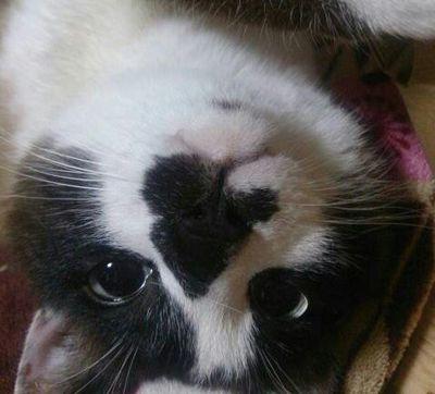 yuureimama's profile picture. 人生やり直し中（笑）