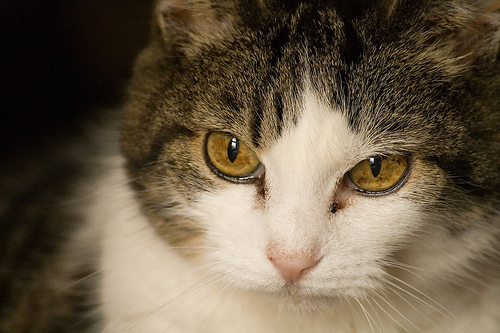 nakkie's profile picture. テニス、特にフェデラー、錦織圭が好き。GAORAよく見てます。仕事はSE。男のくせに甘いもの好き。毎日20分walking＆ジム週1回。I love tennis and eating sweets. I work for an IT company. I go to gym once a week.