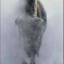 Brian Olthoff - @brianolthoff - Twitter