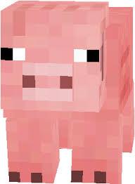 Edgar (@edgardasschwein)  Twitter