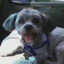 Scorpio1861 - @TamaraDailey - Twitter