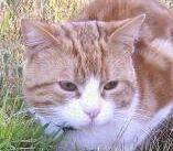 casandra45's profile picture. Je ne supporte pas ceux qui font du mal au bétre