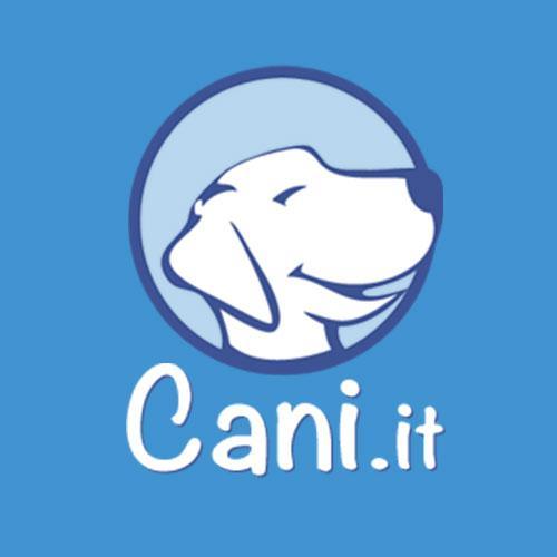 https://t.co/VYGlgaYehM il portale per gli amanti dei cani. Personale Tweets @Caniit1