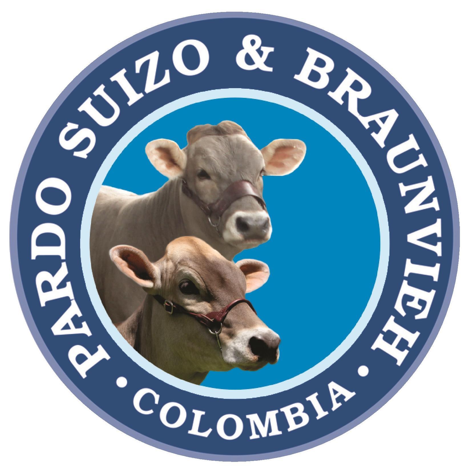 Asopardo & Braunvieh Profile