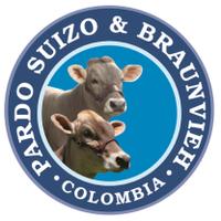 Asopardo & Braunvieh (@asopardobraunvh) 's Twitter Profile