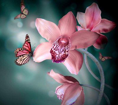 Pics4allocc's profile picture. 