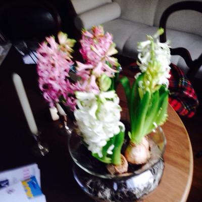 oberink_g's profile picture. 