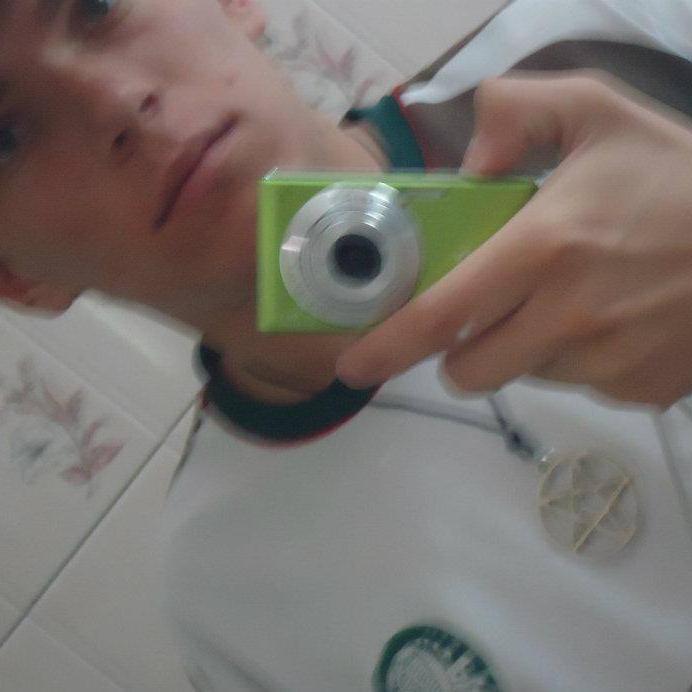 PALMEIRAS MINHA VIDA E VC