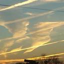 wendy koch - @Emtycoke - Twitter