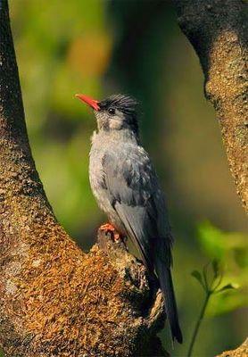 akil7500's profile picture. 