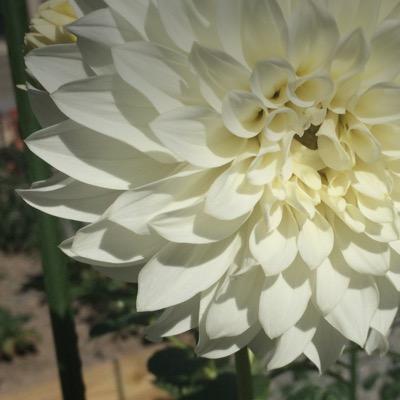 TwistedLeigh_'s profile picture. Author in the making, College Student, Music enthusiast, Attempting to figure myself out in this world.