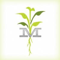 Merchants Pub&Plate (@merchantsonmass) 's Twitter Profile Photo