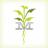 MerchantsOnMass's profile image