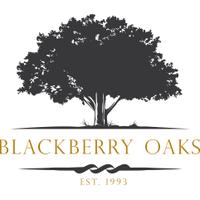 Blackberry Oaks (@blackberryoaks) 's Twitter Profile