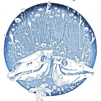 BlueRiderBand's profile picture. A psychedelic, soul, rock and roll band from Denver