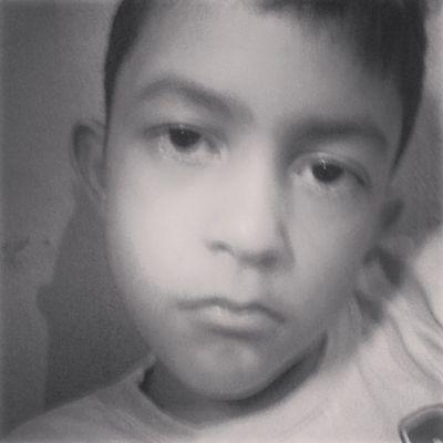 #miojo.
