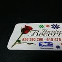 Silvia Becerra - @SilviaB87630752 - Twitter