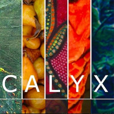 CALYX exists to nurture women’s creativity by publishing fine literature and art by women.