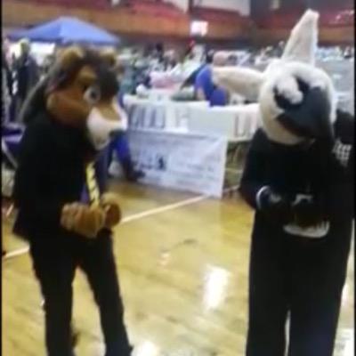 UFursonal's profile picture. furry podcast with awesome hosts