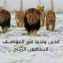 فادي (@1979_fadi) Twitter
