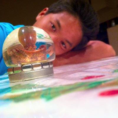 I was made to destroy the limits this world has placed on me..while having fun( ^ω^ )