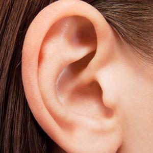 YorkENTAssoc's profile picture. 