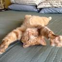 Andrew Pendleton - @pendrew - Twitter