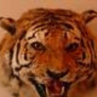 俺は寅年 (@bukowskiii) Twitter profile photo