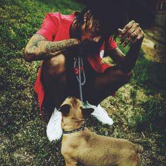 Wladimir_Wiz's profile picture. Basketball #11,30