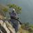 IiscSantosh's profile image