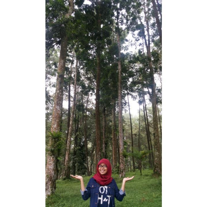 IkeFala's profile picture. -