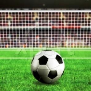 Bedrijfsvoetbal organiseert voetbaltoernooien, vriendschappelijke wedstrijden en competities. Contact info@bedrijfsvoetbal.nl telefoon(088-8638225)