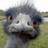 DigitalGord's profile image