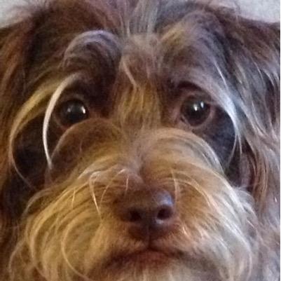 Kezzidge's profile picture. 