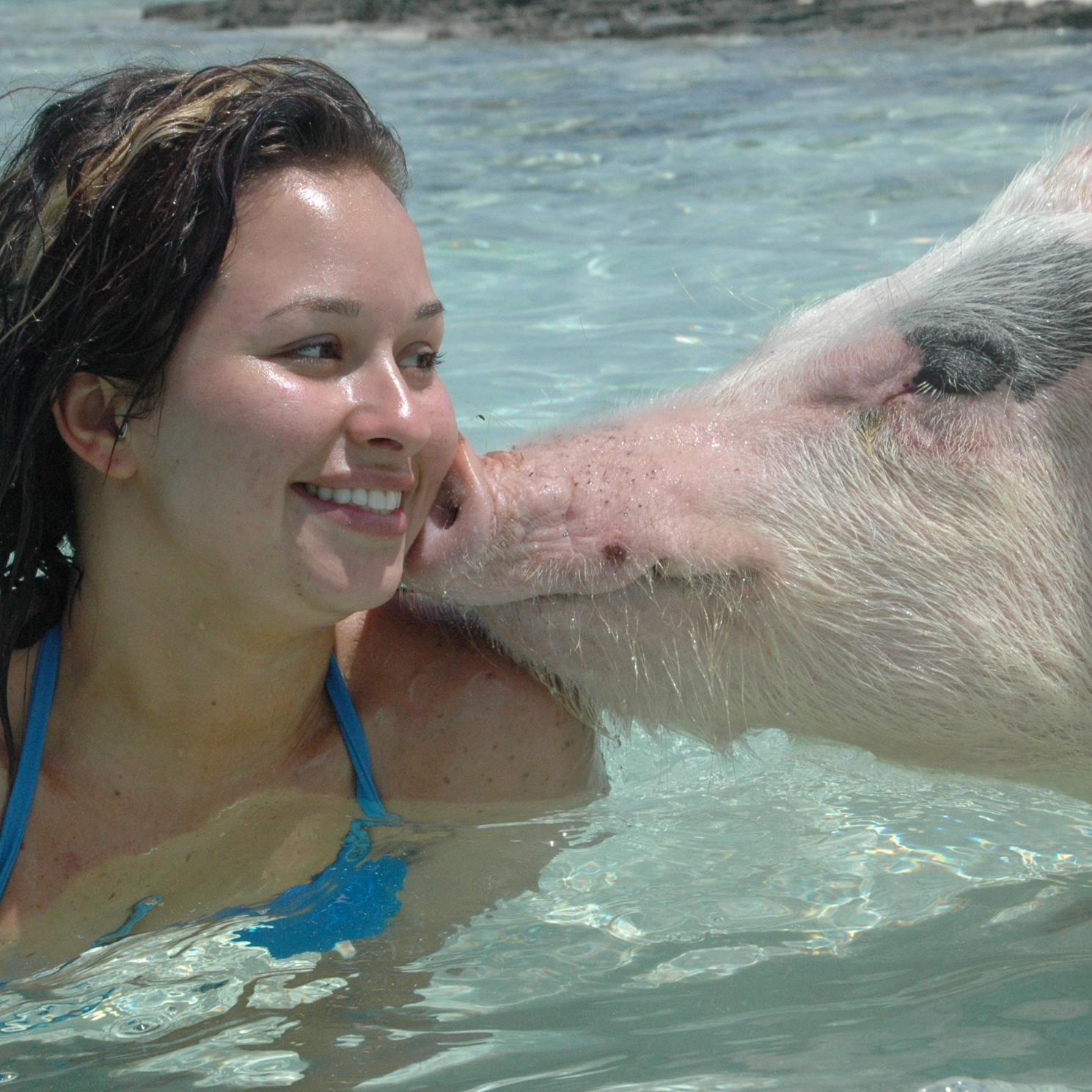 One of the Bahamas leading water base tours, we operate from the island on Great Exuma, come and marvel at the world reknown swimming pigs. See you real Soon !!