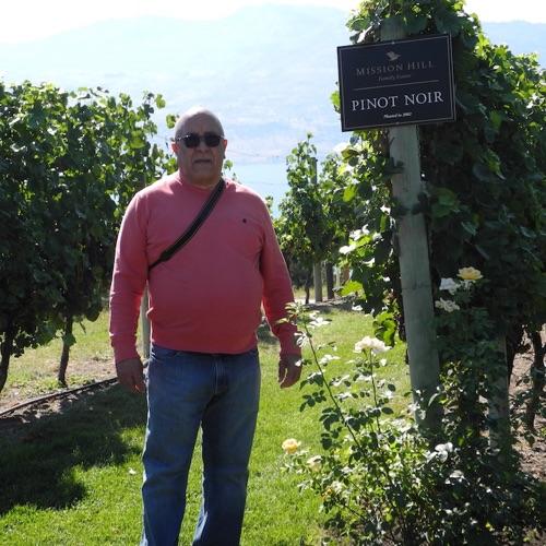 JulioHerrada's profile picture. 