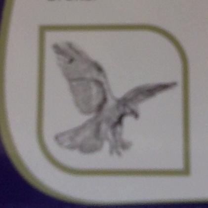 Falconmanegment's profile picture. Quality Property management