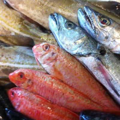To supply and deliver fresh quality fish and shell fish to your door by post and people staying in self catering while on holiday.To the s/w of cornwall