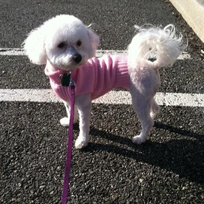 pmt202's profile picture. 