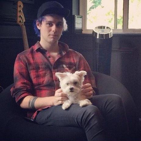 lol your not Michael Clifford